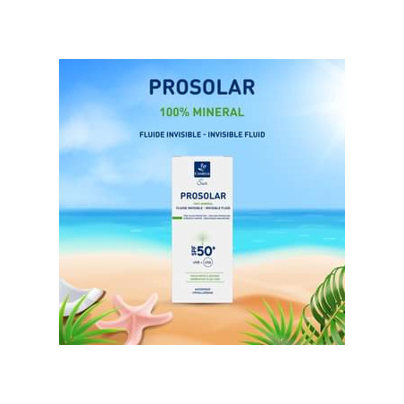 CAMELIA PROSOLAR MINERAL INVISIBLE